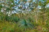 73 Knotts Hill Road, Kuitpo, SA 5201-Image