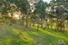 73 Knotts Hill Road, Kuitpo, SA 5201-Image
