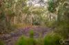 73 Knotts Hill Road, Kuitpo, SA 5201-Image