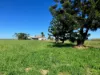 74 Gray Road, Glen Isla, Qld 4800-Image