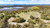 740, Lake Mealup Road North, Nirimba, WA 6208-Image