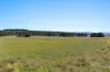 749 Glenoval Road, Lake Bathurst via, Goulburn, NSW 2580-Image