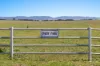 749 Glenoval Road, Lake Bathurst via, Goulburn, NSW 2580-Image