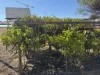 75, Rickeys Road, East Beverley, WA 6304-Image