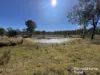 754 Pedersens Rd, Dangore, Qld 4610-Image