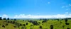 755 Merragallan Road, Malanda, Qld 4885-Image