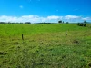755 Merragallan Road, Malanda, Qld 4885-Image