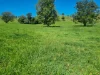 755 Merragallan Road, Malanda, Qld 4885-Image