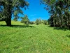 755 Merragallan Road, Malanda, Qld 4885-Image