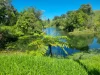 755 Merragallan Road, Malanda, Qld 4885-Image