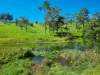 755 Merragallan Road, Malanda, Qld 4885-Image