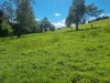 755 Merragallan Road, Malanda, Qld 4885-Image