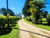 755 Merragallan Road, Malanda, Qld 4885-Image