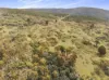 755 Old Tumbarumba Road, Batlow NSW 2730-Image