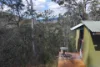 7630 Old Glen Innes Road, Newton Boyd, NSW 2370-Image