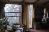 7630 Old Glen Innes Road, Newton Boyd, NSW 2370-Image