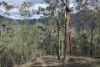 7630 Old Glen Innes Road, Newton Boyd, NSW 2370-Image