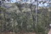 7630 Old Glen Innes Road, Newton Boyd, NSW 2370-Image