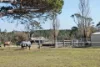 7650 Nerriga Road, Wog Wog, NSW 2622
