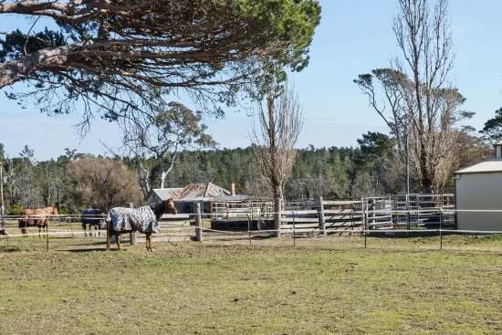 7650 Nerriga Road, Wog Wog, NSW 2622