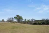 7650 Nerriga Road, Wog Wog, NSW 2622-Image