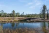 7650 Nerriga Road, Wog Wog, NSW 2622-Image