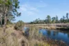 7650 Nerriga Road, Wog Wog, NSW 2622-Image