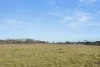7650 Nerriga Road, Wog Wog, NSW 2622-Image