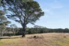 7650 Nerriga Road, Wog Wog, NSW 2622-Image
