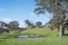768 Boree Lane, Orange, NSW 2800-Image
