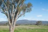 768 Boree Lane, Orange, NSW 2800-Image