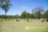 7683 Cunningham Highway, Clumber, Qld 4309-Image