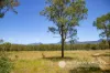 7683 Cunningham Highway, Clumber, Qld 4309-Image