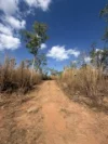 77 Lennox Road, Darwin River, NT 0841-Image