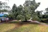 77 Ridge Street, Wedderburn, Vic 3518-Image