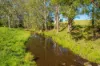 785 Toms Creek Road, Ellenborough, NSW 2446-Image