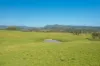 785 Toms Creek Road, Ellenborough, NSW 2446-Image