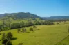 785 Toms Creek Road, Ellenborough, NSW 2446-Image