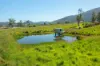 785 Toms Creek Road, Ellenborough, NSW 2446-Image