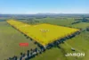 785 Wildwood Road, Wildwood, Vic 3429-Image