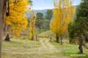 787 Top Naas Road, Tharwa, ACT 2620-Image