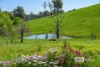 79 Lukis Street, Balingup, WA 6253-Image