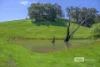79 Lukis Street, Balingup, WA 6253-Image