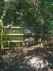 79 McAvoy Street, Daradgee, Qld 4860-Image