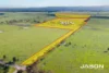 795 Wildwood Road, Wildwood, Vic 3429
