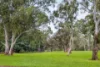 8/11 Hawthorn Crescent, Hazelwood Park SA 5066-Image