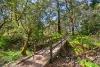 8/33 Turner Street, Boyanup, WA 6237-Image