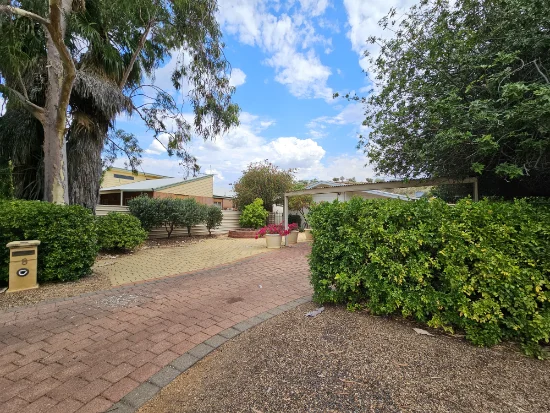 8 The Fairway, Desert Springs, NT 0870