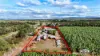 8 Vicary Road, Mareeba, Qld 4880