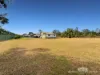 8 Vicary Road, Mareeba, Qld 4880-Image